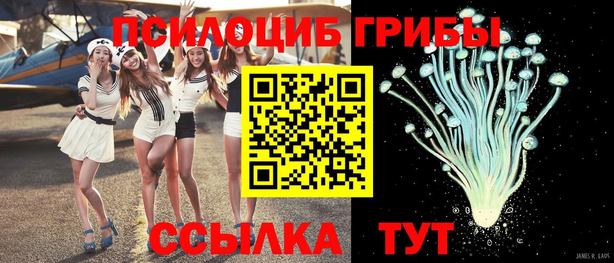 Псилоцибиновые грибы Psilocybe  Вход с VPN  Когалым 